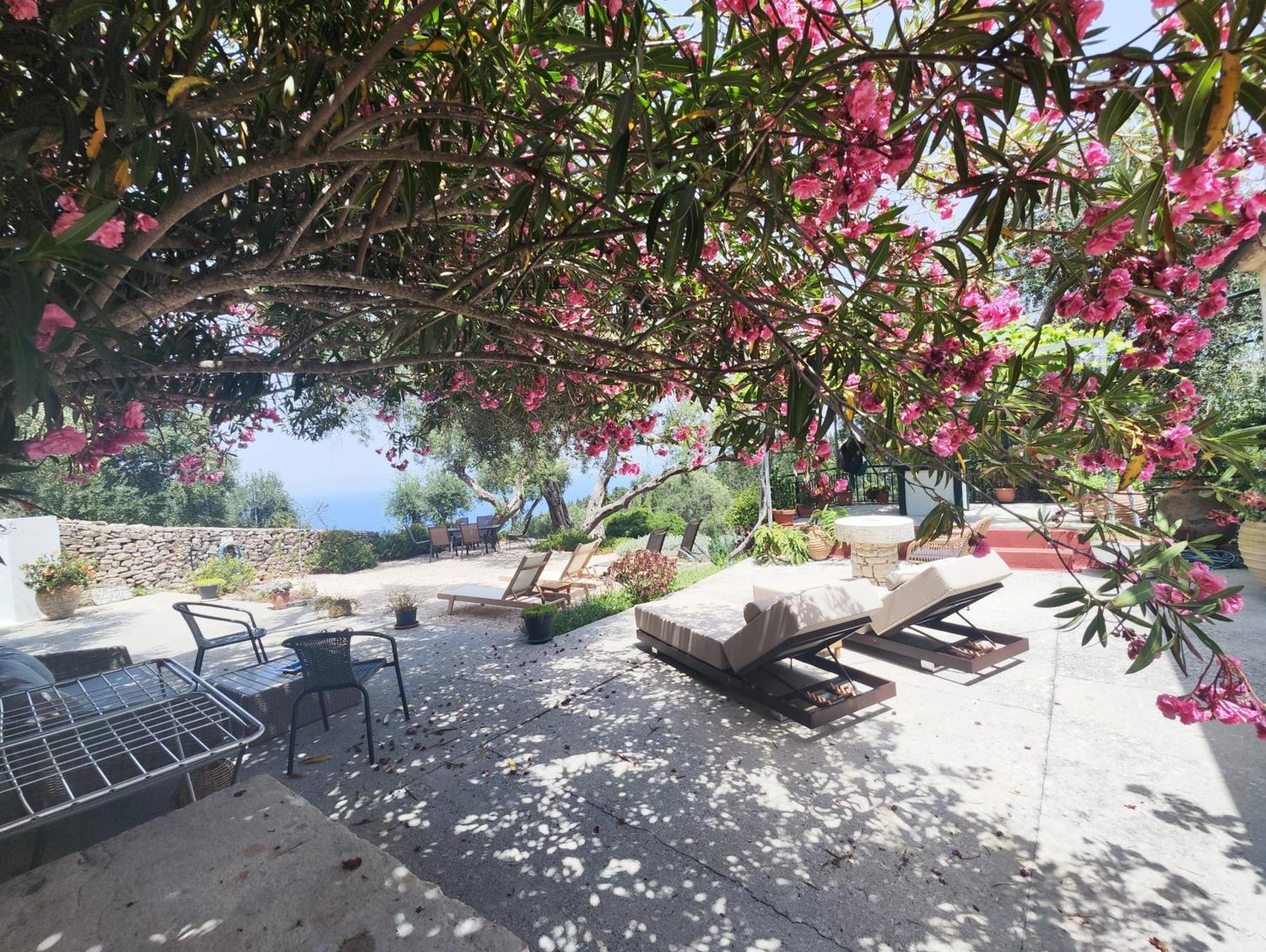 Rania'S Cottage Lákka エクステリア 写真
